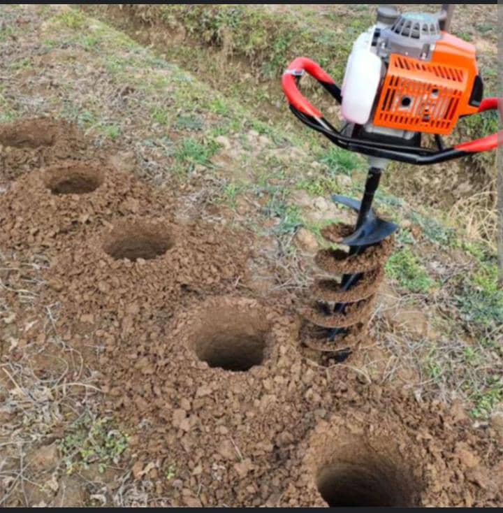 Semis et plantation
