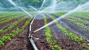 Irrigation